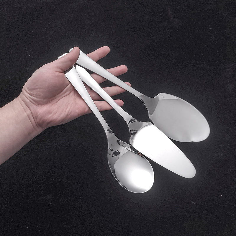 Cooking Utensil Set, Stainless Steel Silver with Public Fork/Spoon, Cake Shovels, Spatula, Ladles, Solid Spoon, Slotted Spoon,  Kitchen Tool Gadget