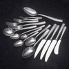 Classic 15-Piece Stainless Steel Cutlery Set Family Size Silverware Pack + Public Spoon